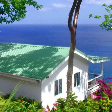 Nature'S Paradise Bed and Breakfast Marigot Bay Esterno foto