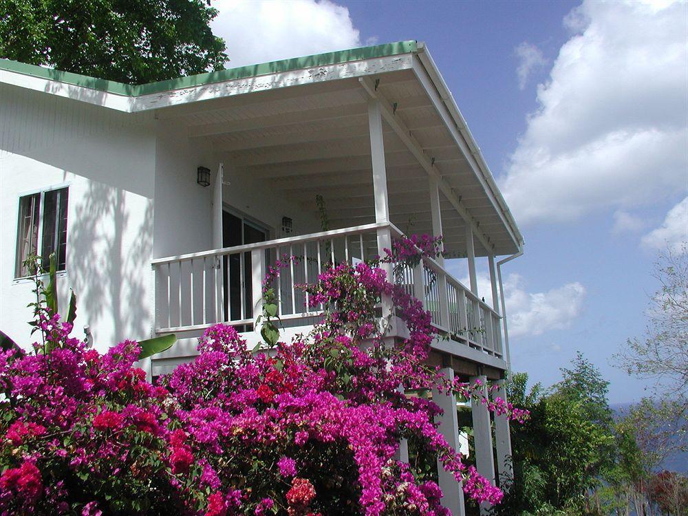 Nature'S Paradise Bed and Breakfast Marigot Bay Esterno foto