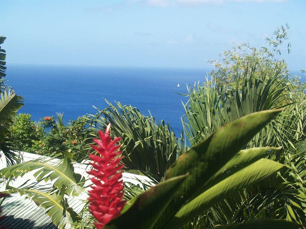 Nature'S Paradise Bed and Breakfast Marigot Bay Esterno foto