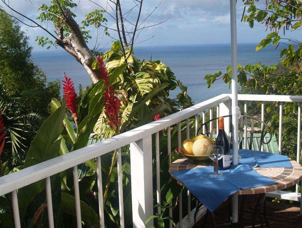 Nature'S Paradise Bed and Breakfast Marigot Bay Esterno foto
