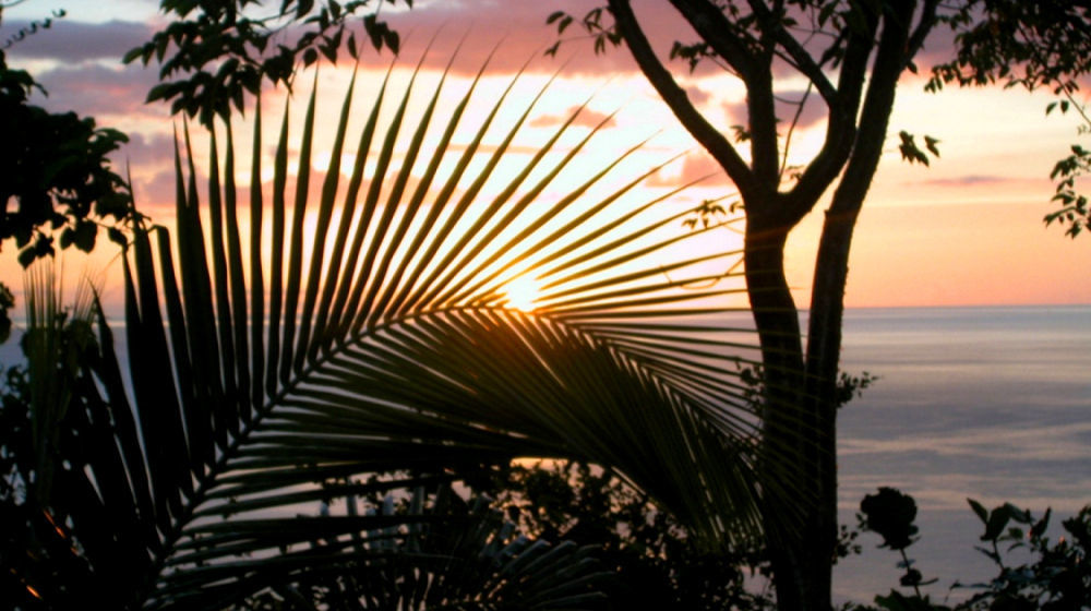Nature'S Paradise Bed and Breakfast Marigot Bay Esterno foto