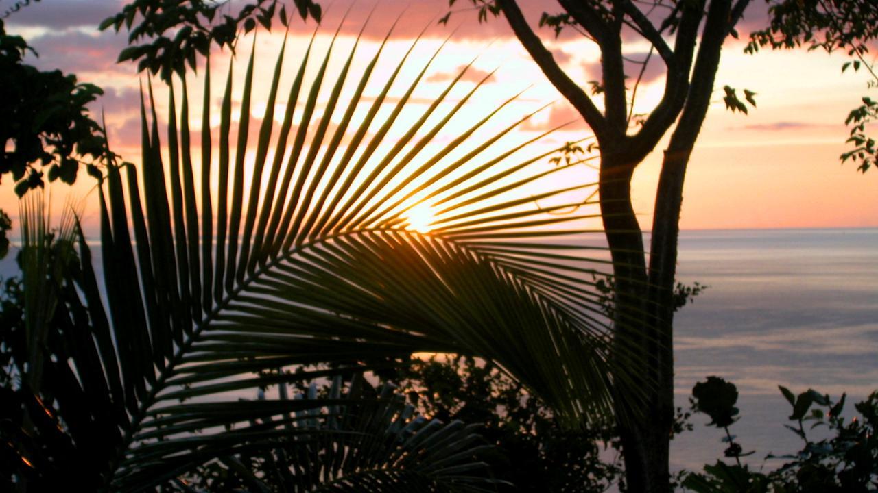 Nature'S Paradise Bed and Breakfast Marigot Bay Esterno foto
