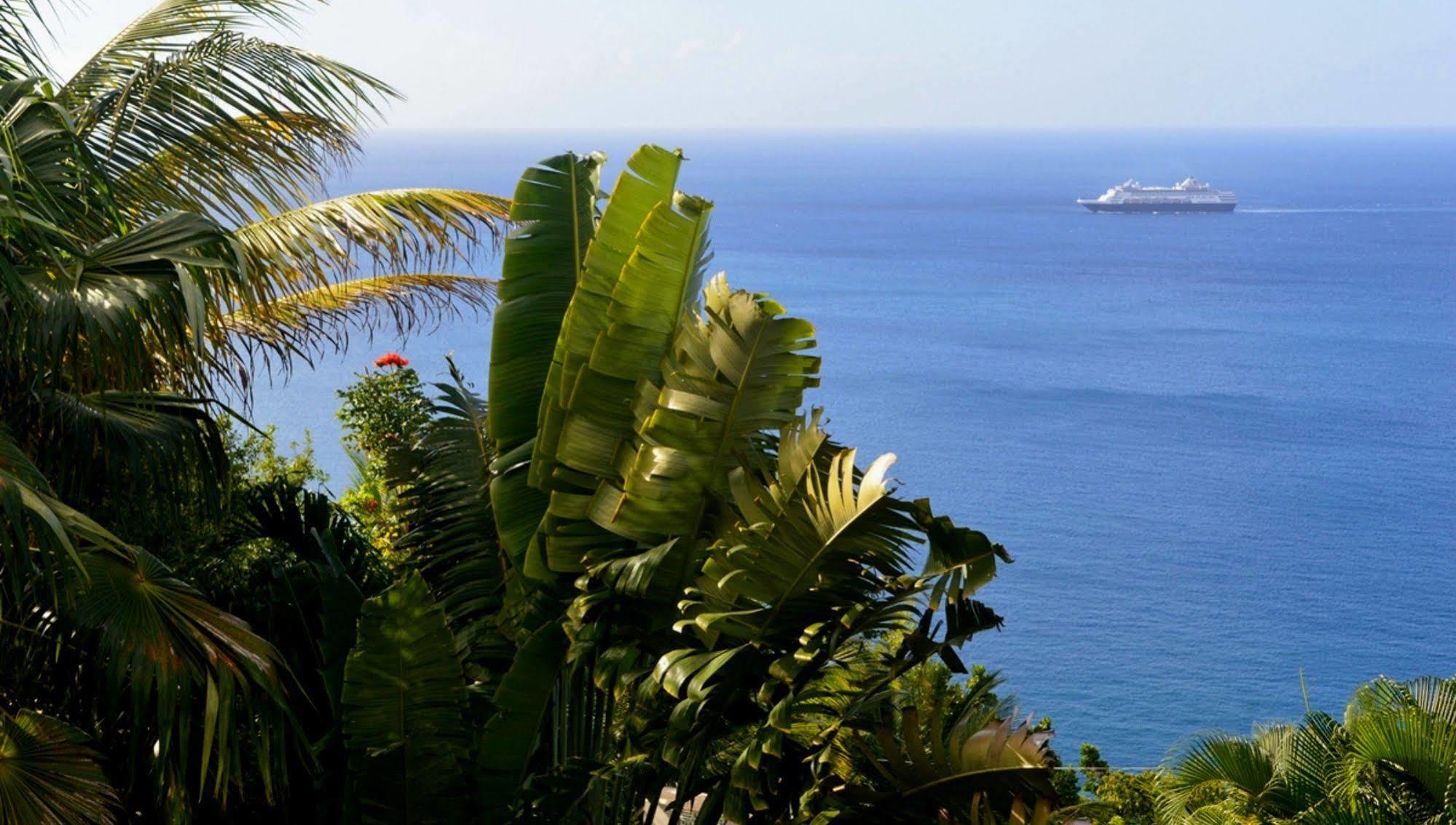 Nature'S Paradise Bed and Breakfast Marigot Bay Esterno foto