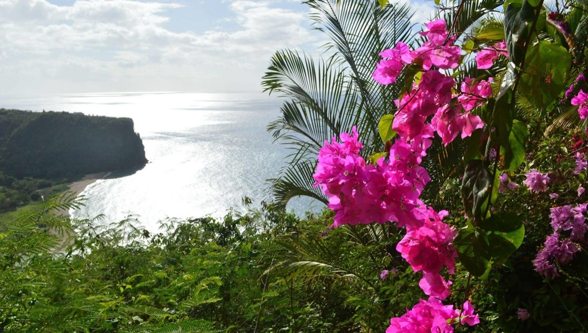 Nature'S Paradise Bed and Breakfast Marigot Bay Esterno foto
