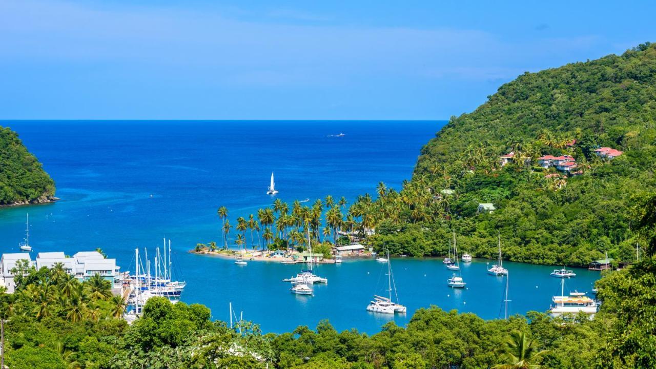 Nature'S Paradise Bed and Breakfast Marigot Bay Esterno foto